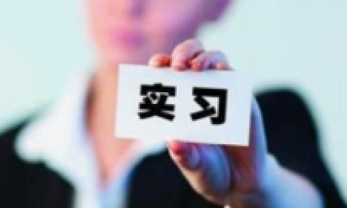 ACCA雇主 | 职在四方：麦当劳商业支持中心数智化团队招实习生啦！