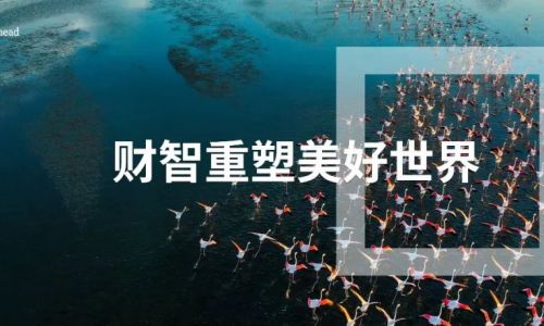 责任•使命｜财智重塑美好世界
